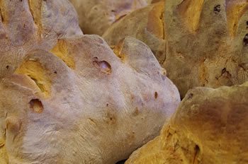 Pane di Matera - Il Forno di Gennaro