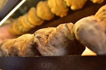 Panificio Perrone - Il Forno di Gennaro - Matera