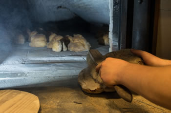 Il Pane di Matera